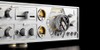 The HiFi Rose RA180 Integrated Amp Looks Wacky For a Reason The HiFi Rose RA180 Integrated Amp Looks Wacky For a Reason