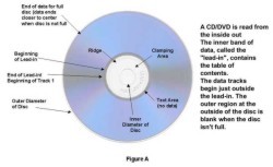 The Difference Between a Data CD and an Audio CD – Disc Hounds