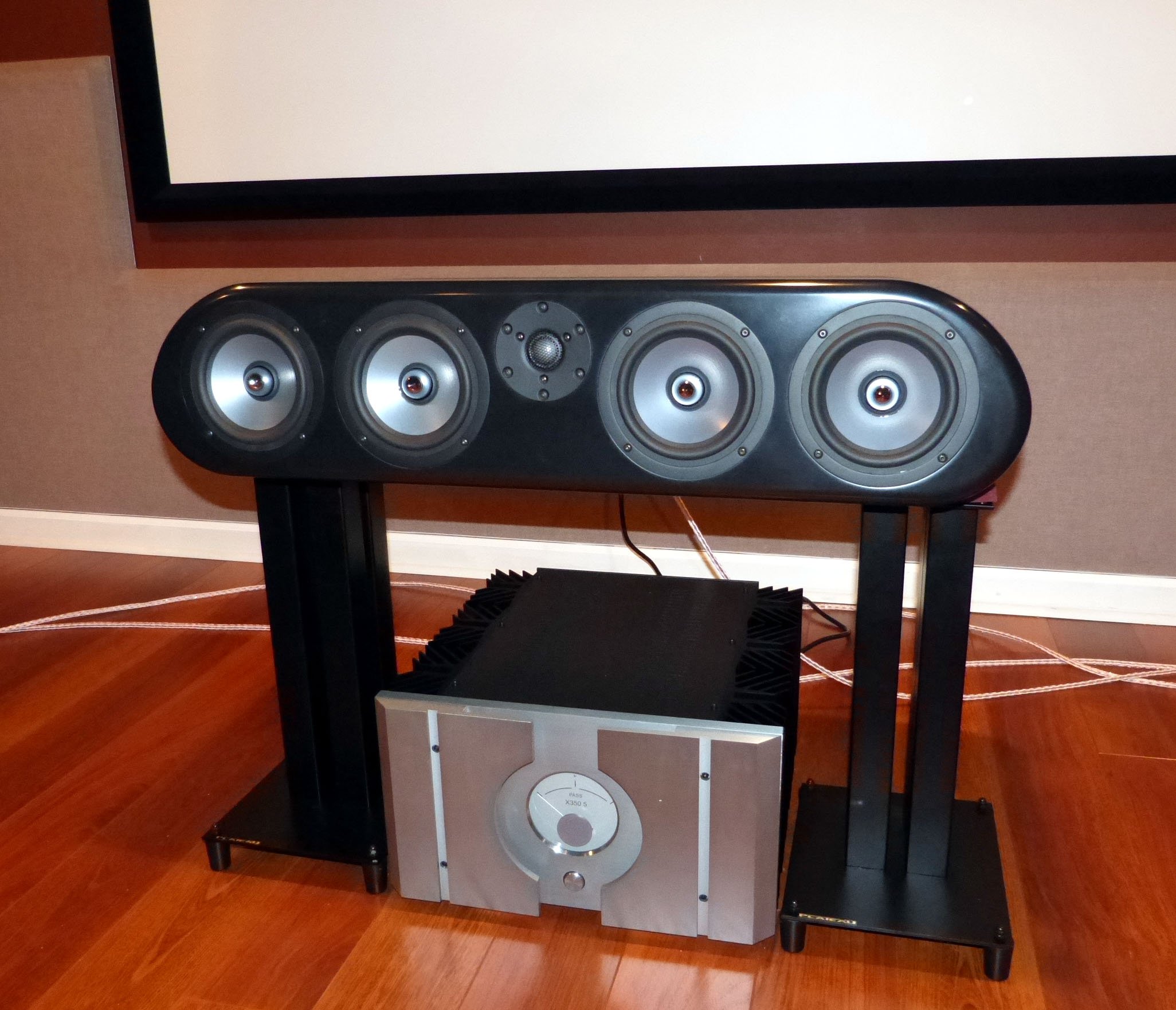 Big center channel store speaker