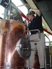 Pumpkin Ale - Home Brew Recipe and Commercial Microbrew Recipe Pumpkin Ale - Home Brew Recipe and Commercial Microbrew Recipe
