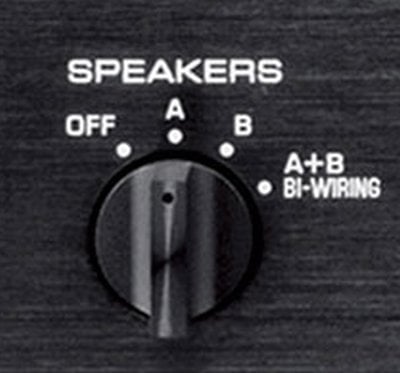 B speakers 2024