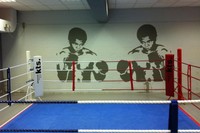 Boxing Ring