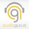 Audiogurus.com Review – Audioholics is NOT affiliated with Audiogurus.com