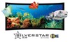 Vutec SilverStar 3D-P Curved Projection Screen Preview Vutec SilverStar 3D-P Curved Projection Screen Preview