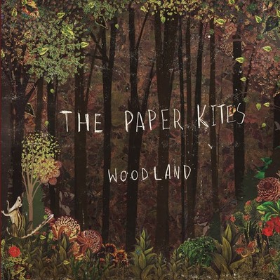 paper kites