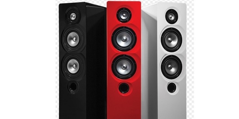 Best floor standing store speaker under 1000