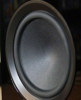 NS2000 bass cone2